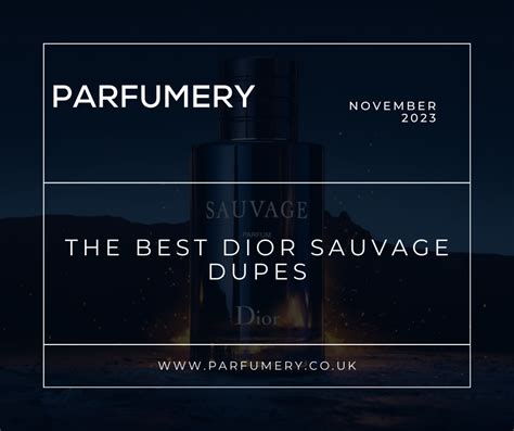 dior sauvage dupe amazon|dior sauvage cheap alternative.